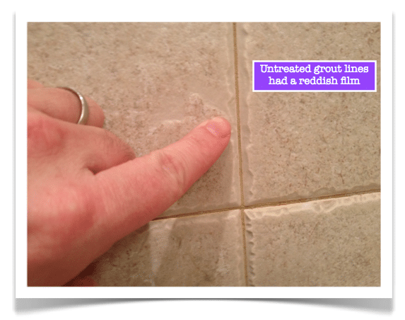 http://homerepairtutor.com/wp-content/uploads/2013/03/Wet-and-Forget-Shower-Untreated-grout-lines.png