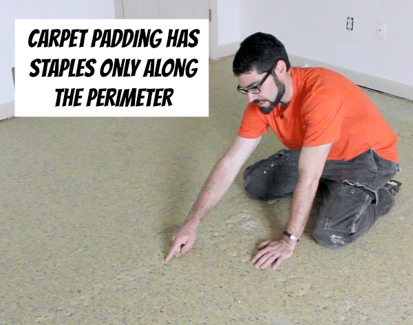 Carpet Padding Staples