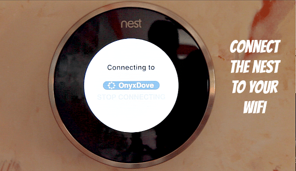 Connect the Nest to Your Wifi