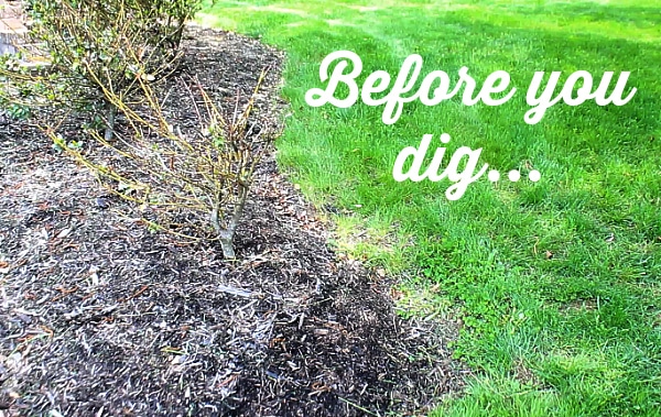 Before you dig