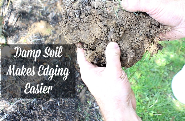 Damp soil makes edging easier