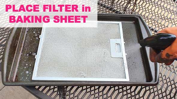Place filter in baking sheet