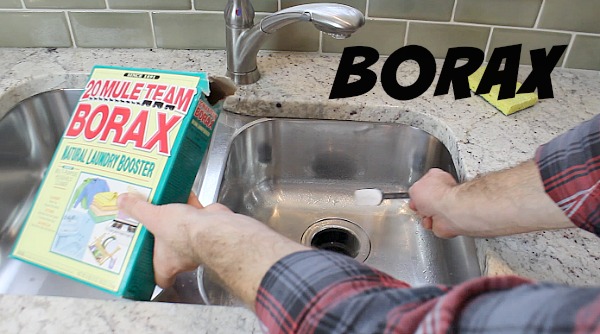 Borax for Disposals