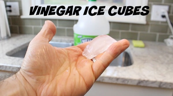 Vinegar Ice Cubes for Disposals