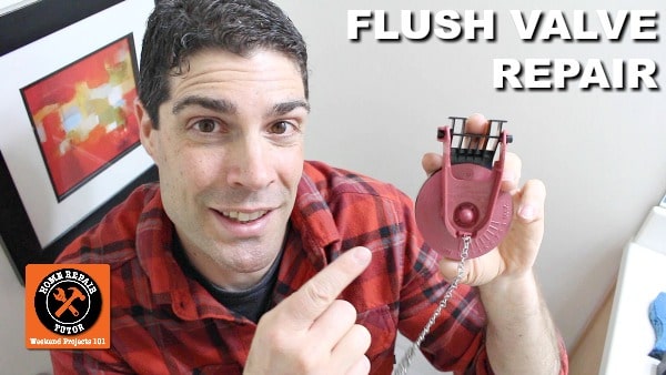 Flush Valve Repair Kit