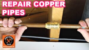 Repair Copper Pipe Leaks with SharkBites (Super EASY!) - Home Repair Tutor