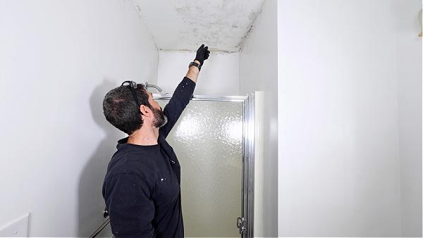 Mold and Mildew in Bathrooms